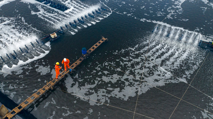 3 cuộc thi chào mừng 50 năm thành lập ngành Điện miền Nam có gì đặc biệt? - 3