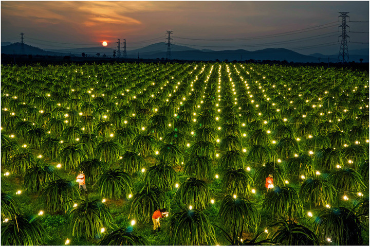 3 cuộc thi chào mừng 50 năm thành lập ngành Điện miền Nam có gì đặc biệt? - 4