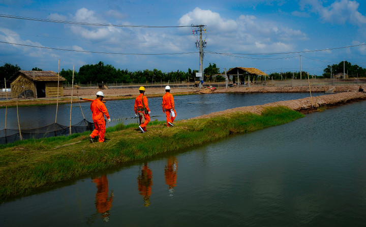 3 cuộc thi chào mừng 50 năm thành lập ngành Điện miền Nam có gì đặc biệt? - 5