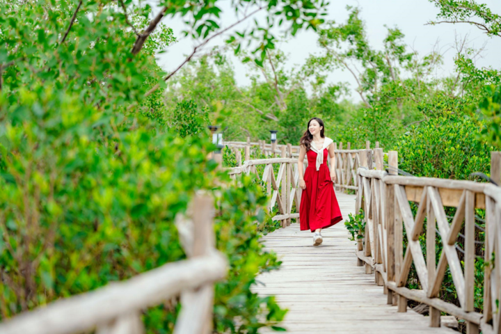 Cung đường gỗ xuyên rừng thơ mộng trong Rừng ngập mặn Dragon Mangrove Forest.
