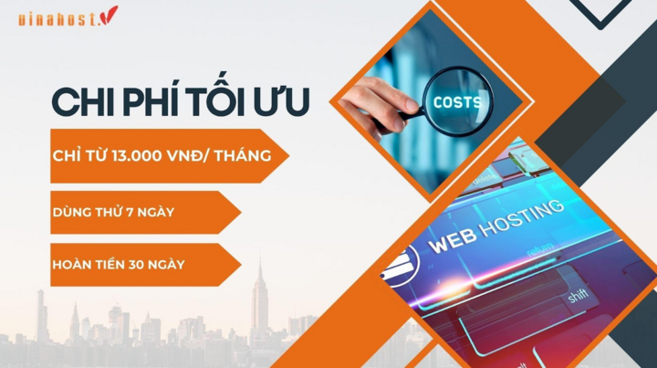 VinaHost - giải pháp web hosting giá rẻ cho mọi đối tượng - 3