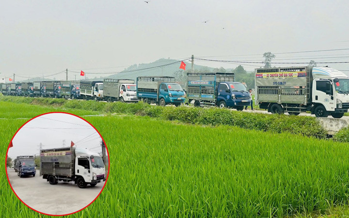 Đoàn xe rước dâu nối đuôi nhau trên đường quê. (Ảnh: NVCC)