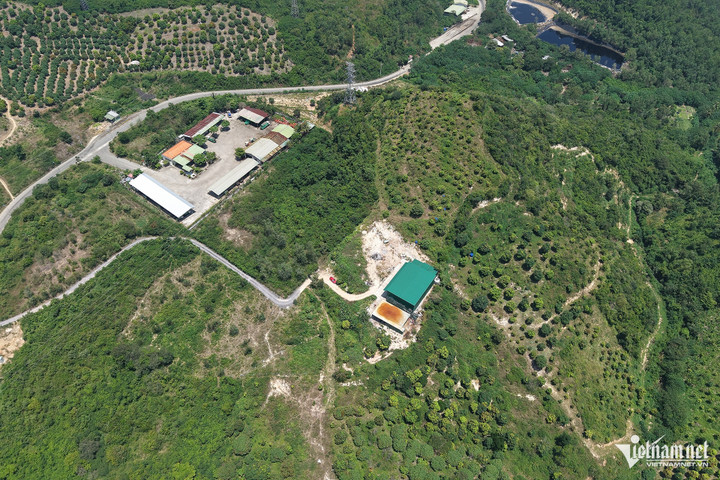 Nhóm tội phạm thuê đất với giá 100 triệu đồng/năm để lập xưởng sản xuất ma túy. Ảnh: Xuân Ngọc