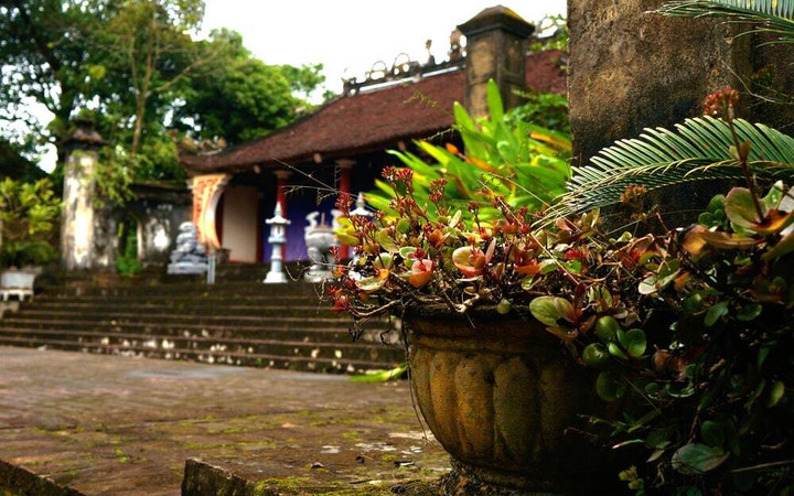 Dòng họ nào lâu đời nhất Việt Nam, có từ thời vua Hùng? - 3