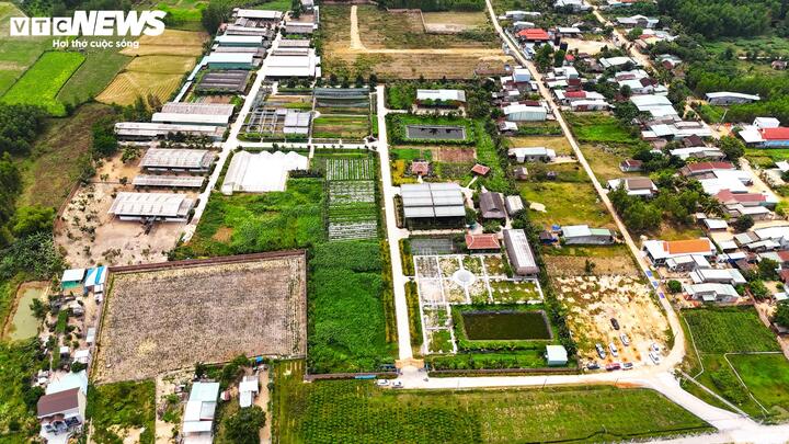 Dự án được phê duyệt chủ trương đầu tư để trồng rau sạch VietGap nhưng có nhiều hoạt động sản xuất, kinh doanh nằm ngoài mục tiêu dự án.