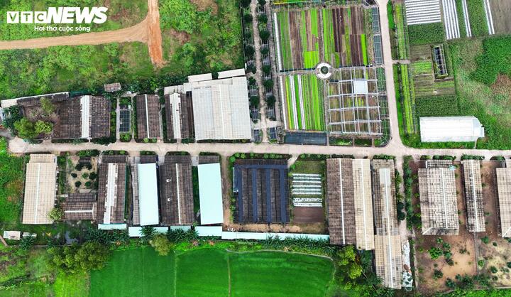 Các công trình chăn nuôi xây dựng trái phép trên đất trồng rau của Công ty Cổ phần Đầu tư và Xây dựng C.P.