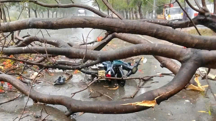 Hiện trường vụ việc.