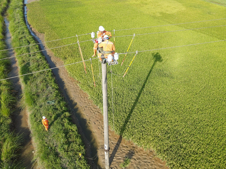 Tăng cường kiểm tra, rà soát, bảo dưỡng lưới điện.