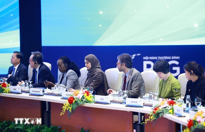 (Ảnh: Dương Giang/TTXVN)