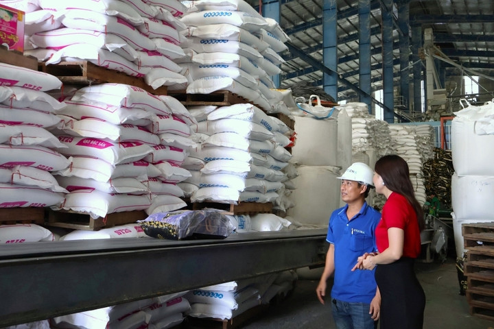 Doanh nghiệp bứt phá kinh doanh cùng loạt ưu đãi hấp dẫn từ Agribank - 2