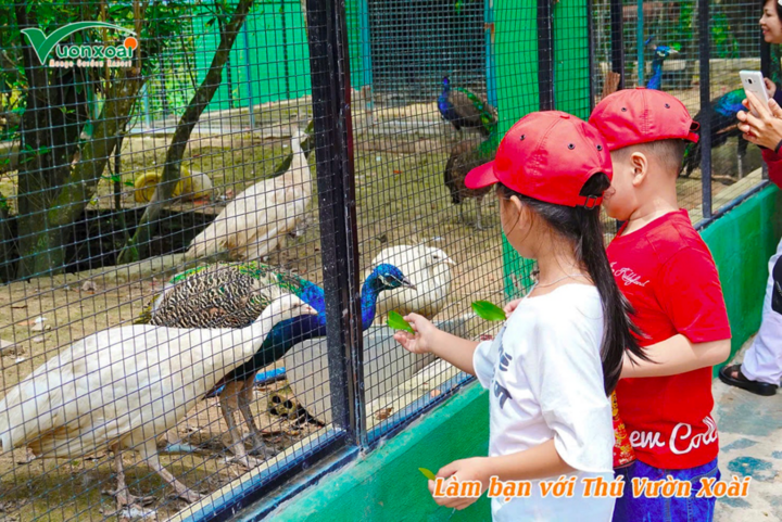 Cùng bé vui khám phá – một ngày ở sở thú Vườn Xoài.