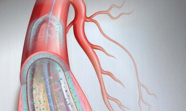 Mạch máu càng sạch, tuổi thọ càng cao