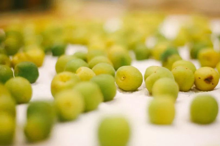 Luôn làm khô mơ trước khi quyết định ngâm. (Ảnh: Zhuanlan)