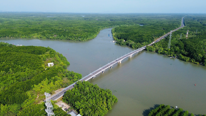 Trên địa bàn Cần Giờ, Metro Cần Giờ sẽ bám theo đường Rừng Sác, con đường xuyên giữa rừng ngập mặn xanh mướt. (Ảnh: M.Q)