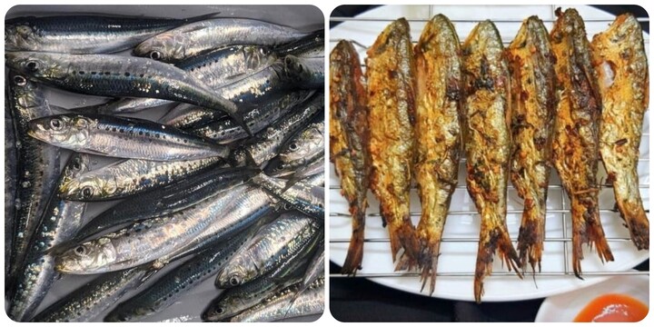 Cá mòi tuy nhỏ nhưng chứa nhiều dưỡng chất tốt cho sức khoẻ.