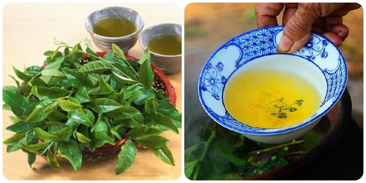 Uống chè xanh sai thời điểm có thể gây hại cho sức khoẻ