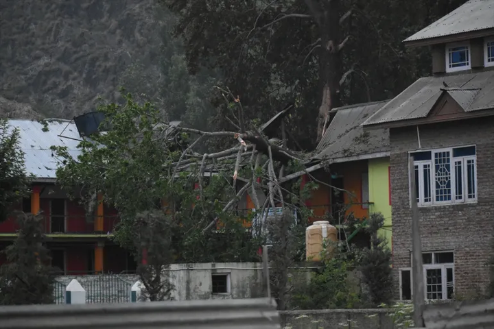 Cây cối và mái nhà tại khu vực này bị hư hại sau cuộc tấn công vào rạng sáng ngày 7/5. (Ảnh: Faisal Khan/Anadolu)