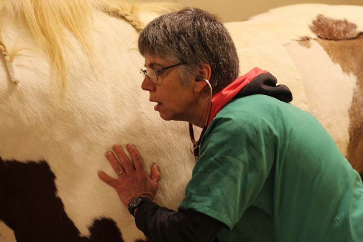 TS. Hélène Amory, Giảng viên Khoa Thú y, Đại học Liege (Bỉ) – Diễn giả tham gia chia sẻ tại Hội thảo.