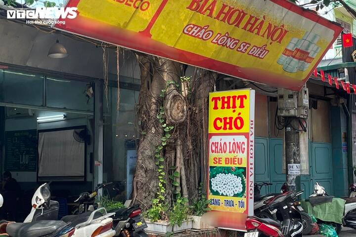 Lòng se điếu được bán nhiều trên thị trường làm dấy lên nghi vấn