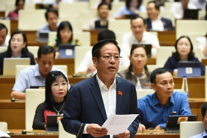 Đại biểu Nguyễn Trường Giang, đoàn Đắk Nông.