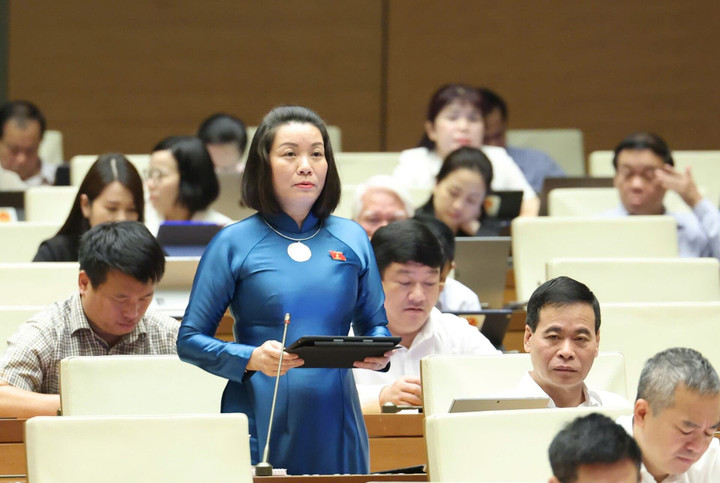 Đại biểu Nguyễn Minh Tâm phát biểu. (Ảnh: Quang Vinh)