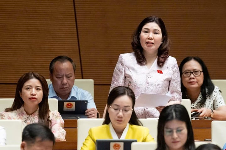 Đại biểu Trần Thị Vân. (Ảnh: Media Quốc Hội)