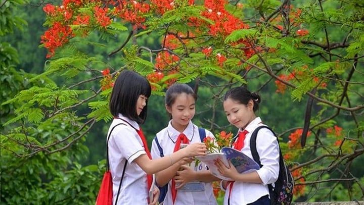 Tạo môi trường để các em học sinh được vui chơi lành mạnh; rèn luyện kỹ năng sống, tham gia các hoạt động ngoại ngữ, văn hóa, nghệ thuật, thể dục thể thao, phát triển thể chất.