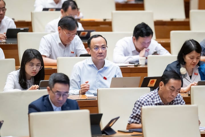 Các đại biểu thảo luận tại hội trường.