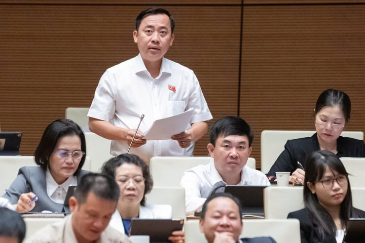 Đại biểu Đào Chí Nghĩa phát biểu tại hội trường. (Ảnh: Quochoi.vn)