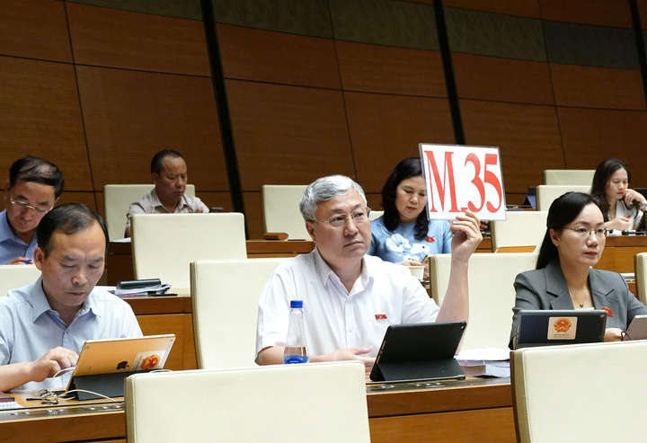 Đại biểu Quốc hội: Nhiều doanh nghiệp cố tình báo lỗ để trốn thuế