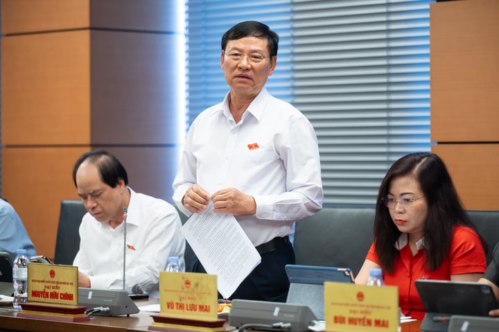 Đại biểu Nguyễn Hữu Chính phát biểu tại tổ chiều nay.
