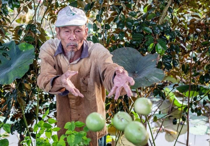 Phi công nào dùng 'đống sắt gỉ MiG-17' bắn rơi nhiều máy bay Mỹ nhất thế giới? - 4