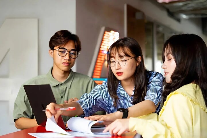 Tuition fees for Economics schools, highest 230 million VND/school year.
