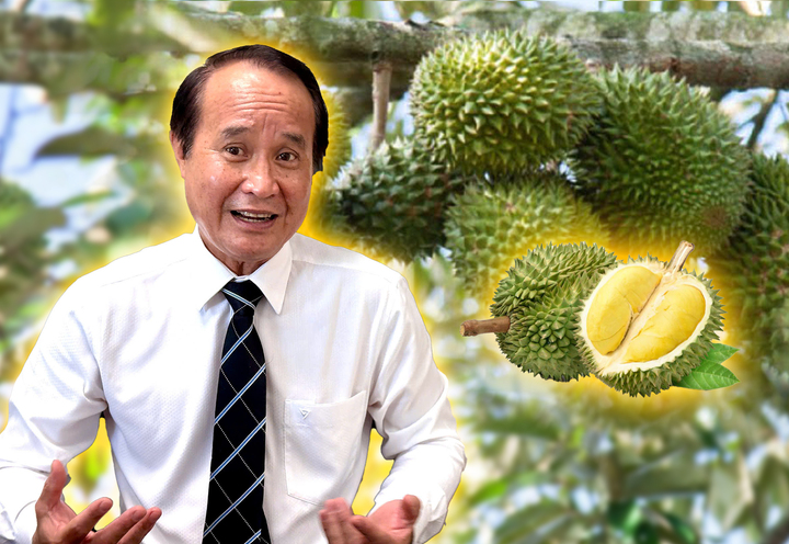 Sầu riêng rớt giá thê thảm, làm sao ‘giảm phụ thuộc vào thị trường tỷ USD’?