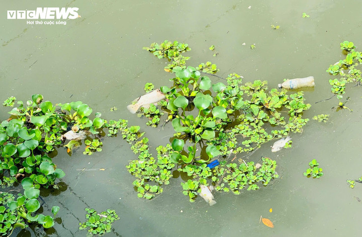 "2 ngày qua, nước sông Bàu Giang bắt đầu chuyển màu. Cá chết hàng loạt khiến ai cũng lo lắng. Lượng cá chết quá lớn và đang phân hủy, bốc mùi hôi thối khiến môi trường ô nhiễm. Rất mong chính quyền địa phương sớm vào cuộc xử lý, tránh tình trạng này kéo dài gây ảnh hưởng lớn đến đời sống của người dân" - ông Nguyễn Văn Tánh (trú thị trấn La Hà) nói.