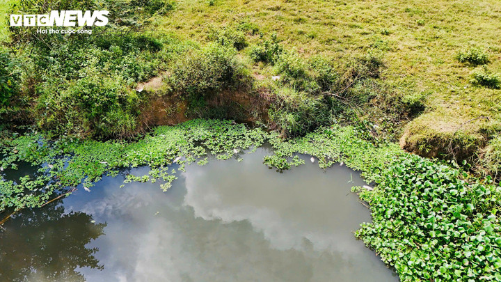 Người dân địa phương cho biết, đây không phải lần đầu tiên họ thấy tình trạng cá chết như vậy.
