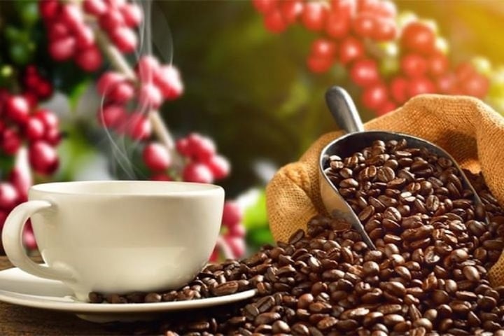 Giá cà phê hôm nay biến động trái chiều. (Ảnh minh họa)