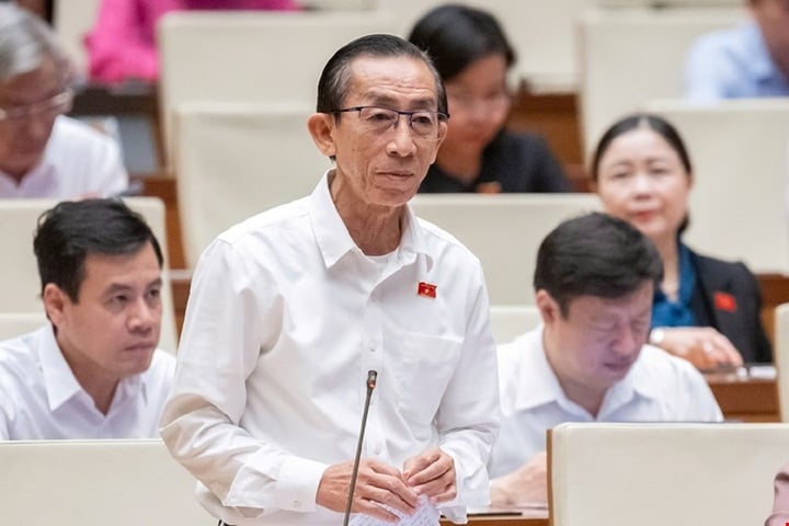 Đại biểu Trần Hoàng Ngân. (Ảnh: Media Quốc hội).