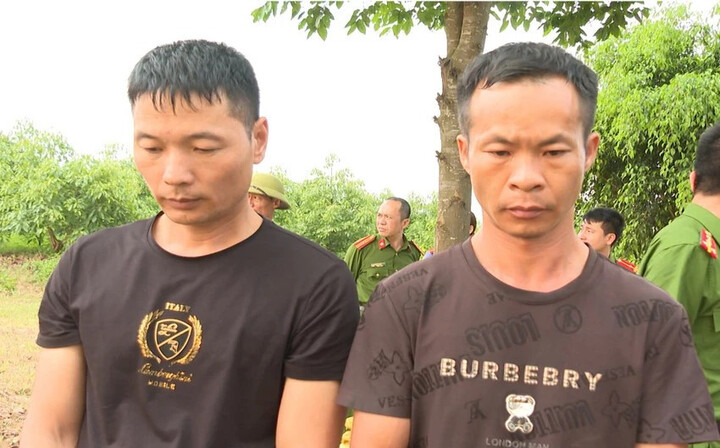 Hai đối tượng người Trung Quốc bị khởi tố, bắt tạm giam để điều tra về tội xâm phạm thi thể, mồ mả, hài cốt. (Ảnh: CACC)