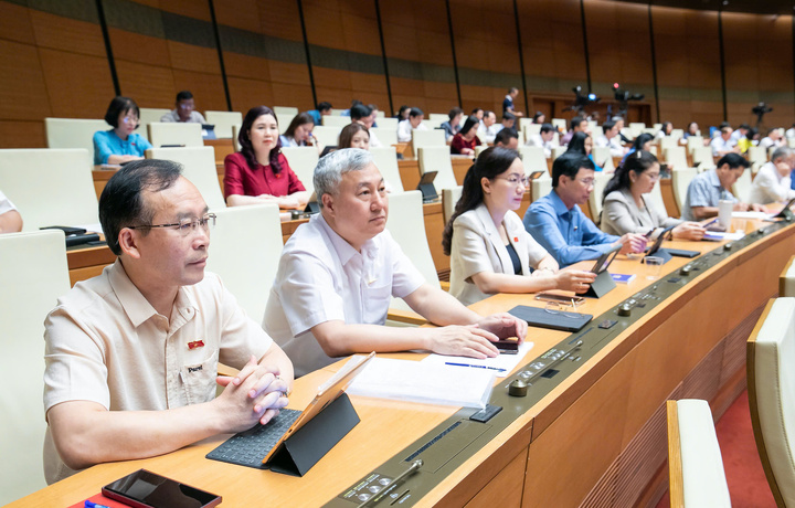 Các đại biểu nghe trình dự luật.