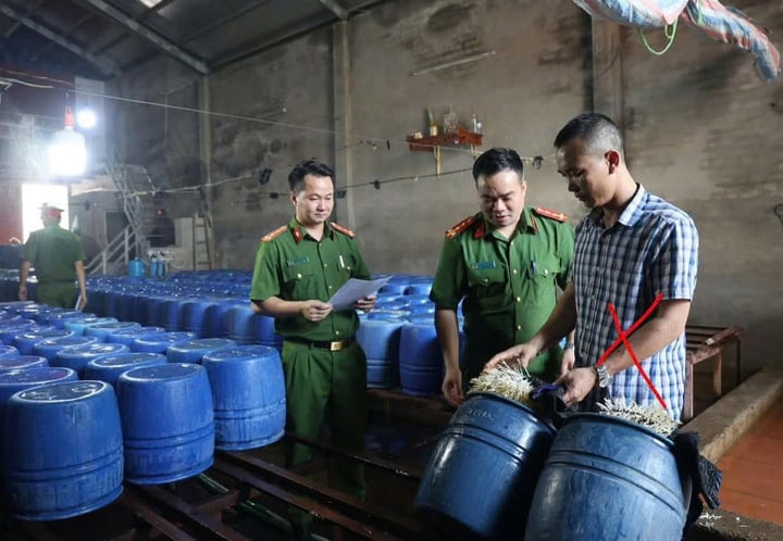 Nguyễn Văn Tân (áo kẻ), bị lực lượng chức năng bắt quả tang khi sử dụng chất kích thích tăng trưởng 6-Benzylaminopurine làm giá đỗ.( Ảnh Công an Bắc Giang).