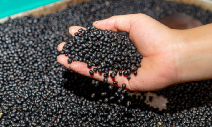 3 không khi uống nước đậu đen mùa hè