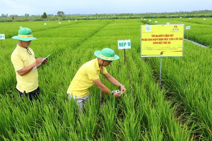 Các nhà máy sản xuất phân bón của Petrovietnam xây dựng và phát triển hệ phân bón chất lượng cao phù hợp với từng loại thổ nhưỡng, cây trồng của Việt Nam.