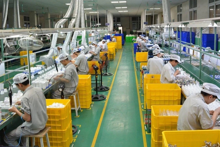 Kế hoạch hành động của Chính phủ về phát triển kinh tế tư nhân