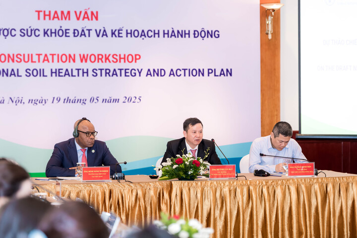 Lãnh đạo FAO tại Việt Nam, Cục Trồng trọt và Bảo vệ thực vật và Viện Thổ nhưỡng Nông hóa chủ trì buổi tham vấn Dự thảo Chiến lược sức khỏe đất và Kế hoạch hành động quốc gia (Ảnh: Ngọc Sơn)