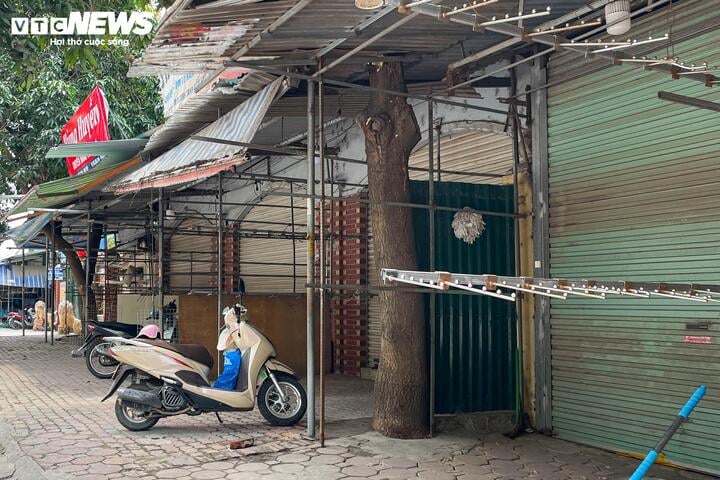 Quầy hàng đua nhau đóng cửa, 'thiên đường vải' Ninh Hiệp vắng lặng khác thường - 13