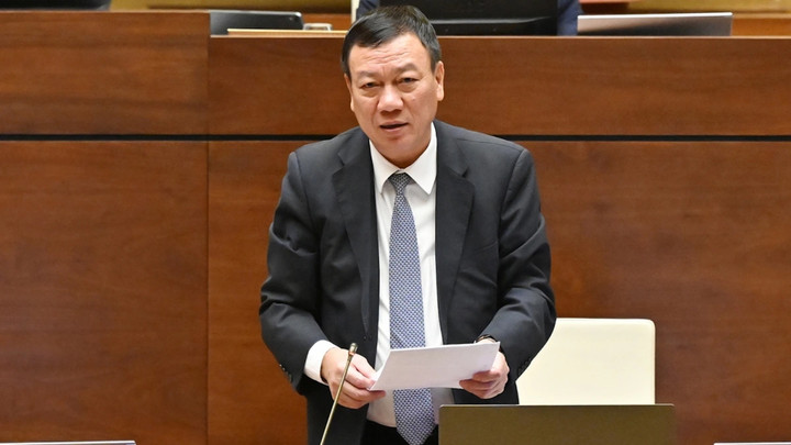 Tổng Thanh tra Chính phủ Đoàn Hồng Phong.