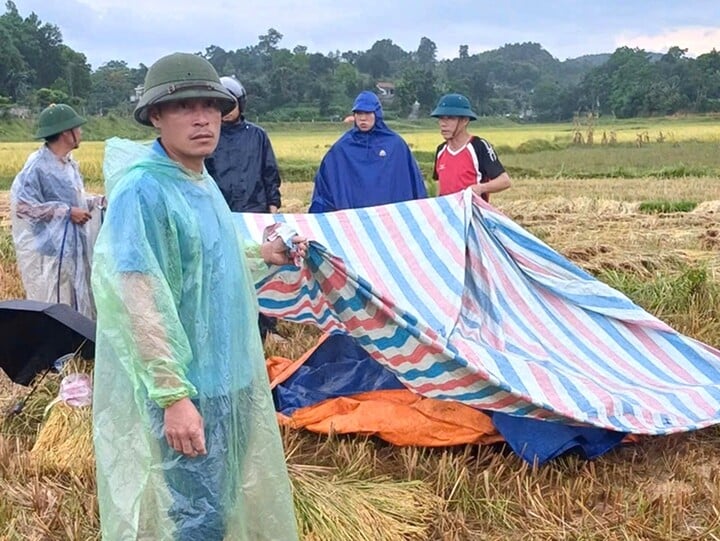Người dân phát hiện anh T. bị sét đánh tử vong trên cánh đồng.