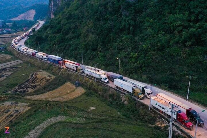 Xuất khẩu rau quả giảm 5 tháng liên tiếp khi mặt hàng sầu riêng gặp nhiều khó khăn. (Ảnh: Thạch Thảo)