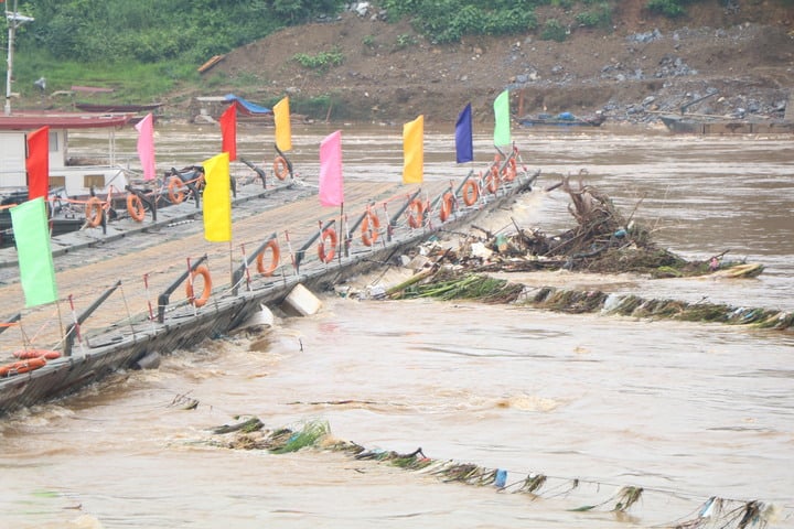Nước sông Hồng chảy xiết, kèm theo rác từ thượng nguồn đổ về khu vực cầu phao Phong Châu. (Ảnh: Trường Quân)